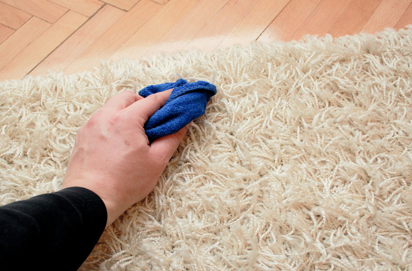 Cara Merawat Karpet